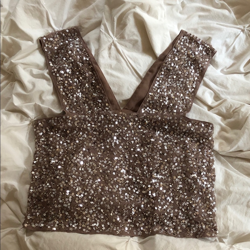 Zara Sequin Crop Top in Brown/pale pink tones